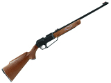 Daisy Powerline Model 880 Dual Ammo BB / Pellet Air Rifle (4.5mm/.177 Air Gun)