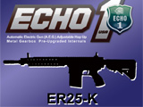 FREE DOWNLOAD -  Manual for SR25 / SR25K / ER25K  Airsoft AEG Instruction / User Manual