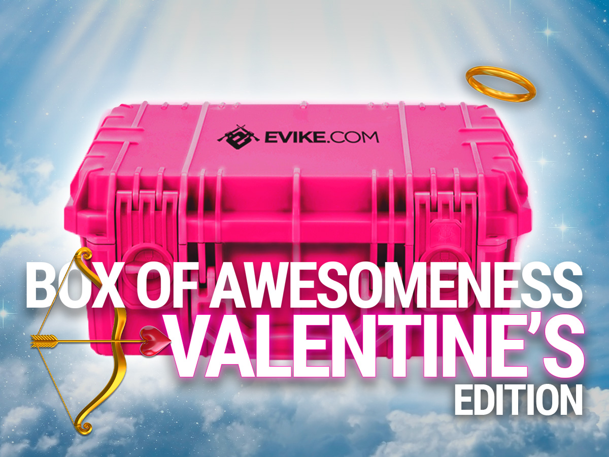 (Preview: Activating February 12th 6pm PST / 9pm EST) The Box of Awesomeness Happy Valentine's Day EDITION!