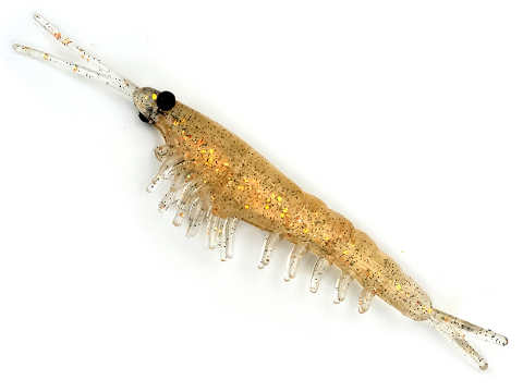 Gamakatsu DuraScent Shrimp Fishing Lure (Color: Natural)