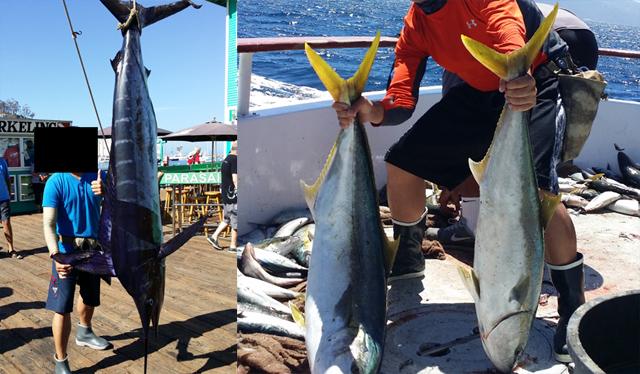 Albacore Tuna Fishing in Eureka, CA - Northwind Charters