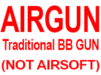 Air Guns (Not Airsoft)
