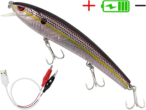 Live Bait Saltwater Hooks